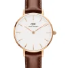 DANIEL WELLINGTON PETITE ST MAWES 28 MM ROSE - DW00100231