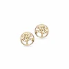 SCROUPLES 8 KARAT GULD ØRERINGE LIVETS TRÆ 6 MM - 120183