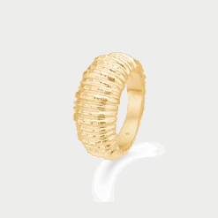 STUDIO Z SEASHELL SECRETS SØLV FORGYLDT RING -7240908